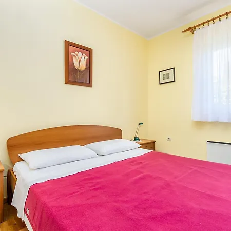 Apartament Rona Ani *