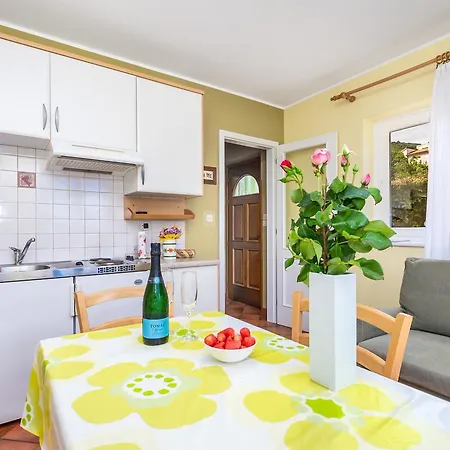 Rona Ani Apartment Ičići